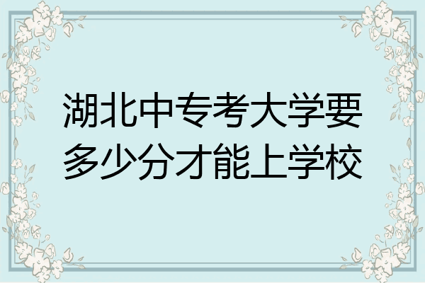 湖北中专考大学要多少分才能上学校