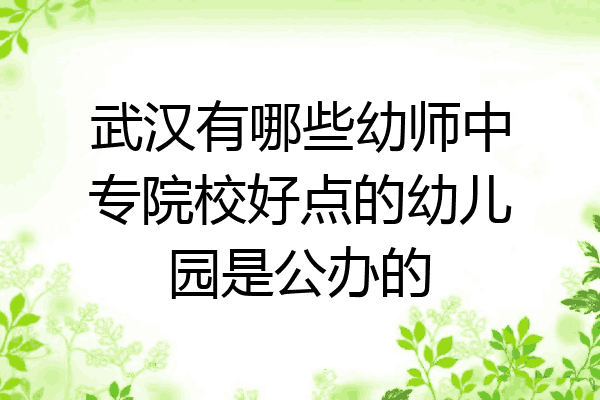 武汉有哪些幼师中专院校好点的幼儿园是公办的