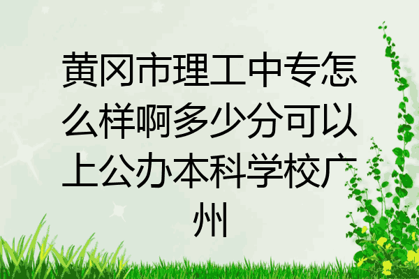 黄冈市理工中专怎么样啊多少分可以上公办本科学校广州