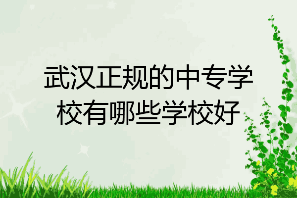 武汉正规的中专学校有哪些学校好