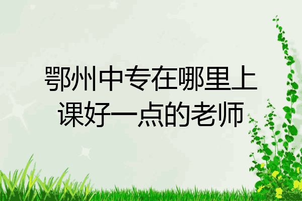 鄂州中专在哪里上课好一点的老师
