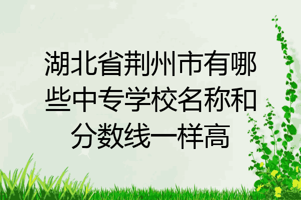 湖北省荆州市有哪些中专学校名称和分数线一样高