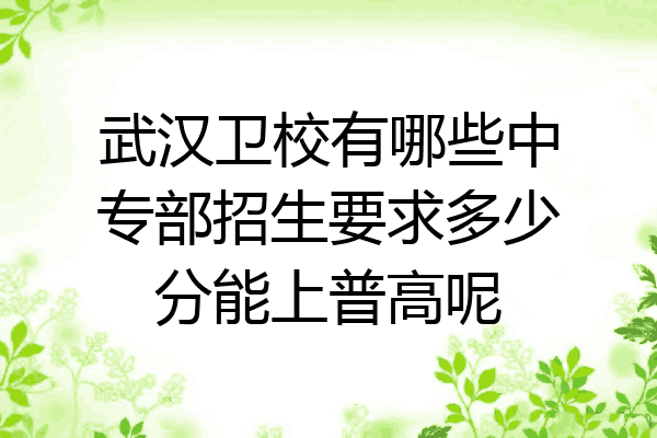 武汉卫校有哪些中专部招生要求多少分能上普高呢