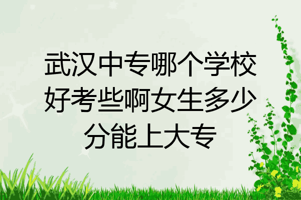 武汉中专哪个学校好考些啊女生多少分能上大专