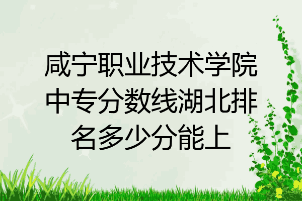 咸宁职业技术学院中专分数线湖北排名多少分能上