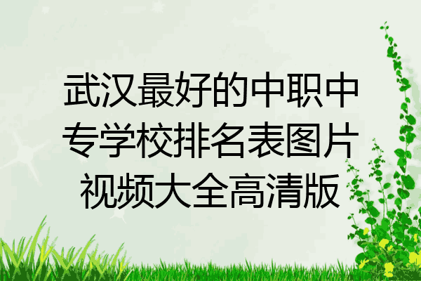 武汉最好的中职中专学校排名表图片视频大全高清版