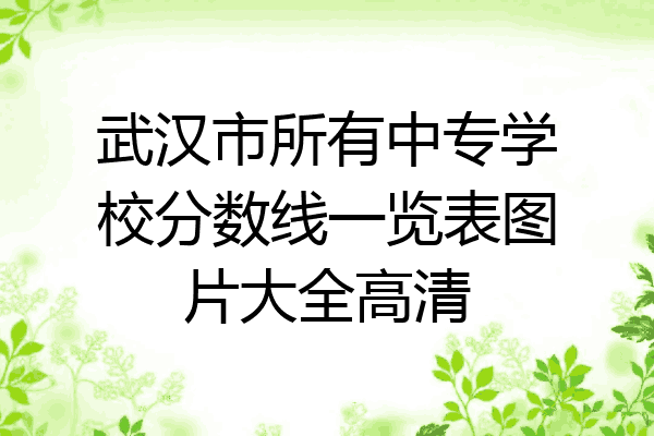 武汉市所有中专学校分数线一览表图片大全高清