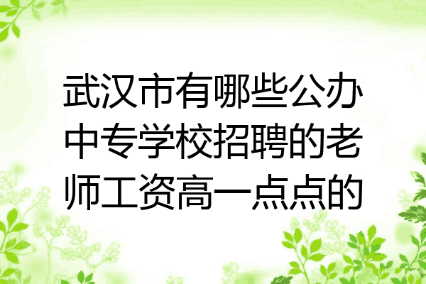 武汉市有哪些公办中专学校招聘的老师工资高一点点的