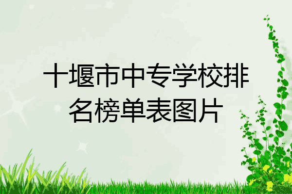 十堰市中专学校排名榜单表图片