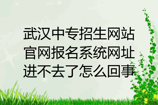 武汉中专招生网站官网报名系统网址进不去了怎么回事