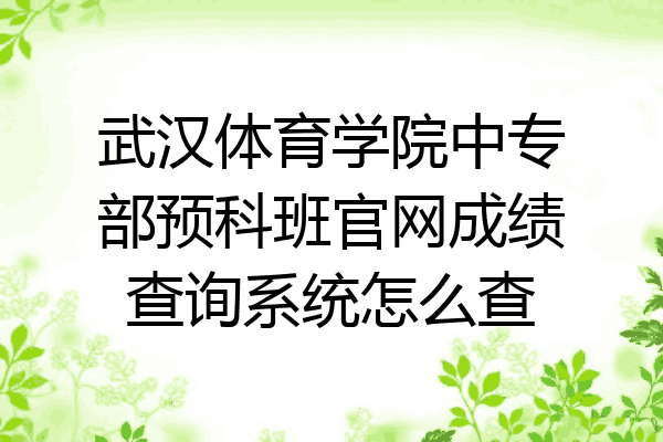 武汉体育学院中专部预科班官网成绩查询系统怎么查