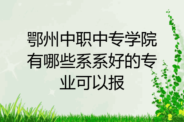 鄂州中职中专学院有哪些系系好的专业可以报