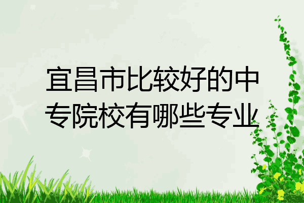 宜昌市比较好的中专院校有哪些专业