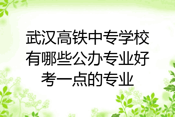 武汉高铁中专学校有哪些公办专业好考一点的专业