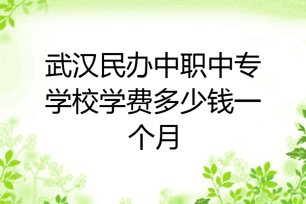 武汉民办中职中专学校学费多少钱一个月