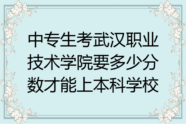 中专生考武汉职业技术学院要多少分数才能上本科学校
