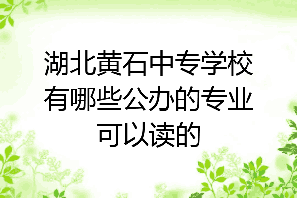 湖北黄石中专学校有哪些公办的专业可以读的
