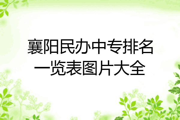 襄阳民办中专排名一览表图片大全