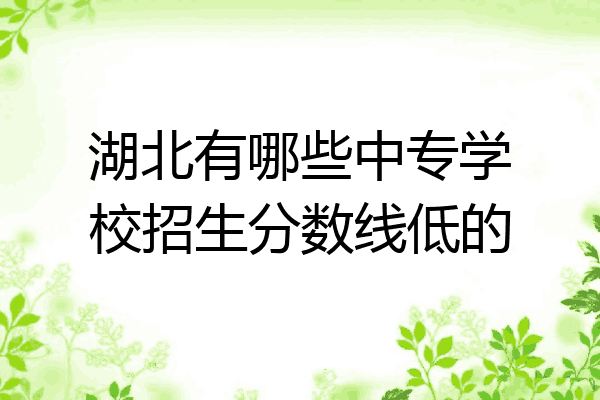 湖北有哪些中专学校招生分数线低的