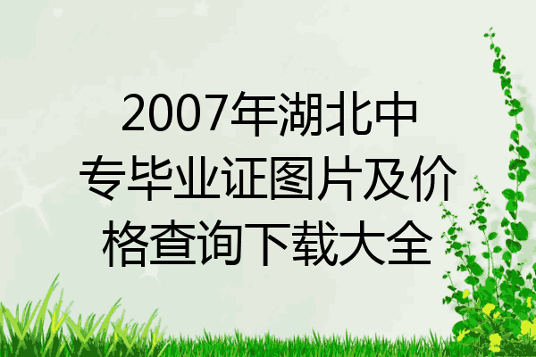 2007年湖北中专毕业证图片及价格查询下载大全