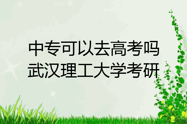 中专可以去高考吗武汉理工大学考研
