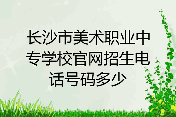 长沙市美术职业中专学校官网招生电话号码多少