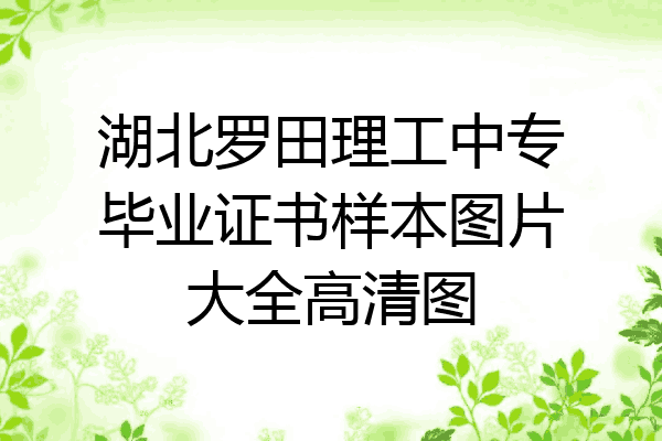 湖北罗田理工中专毕业证书样本图片大全高清图