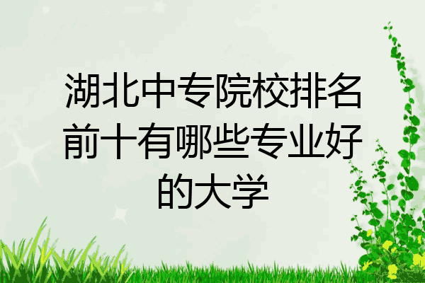 湖北中专院校排名前十有哪些专业好的大学