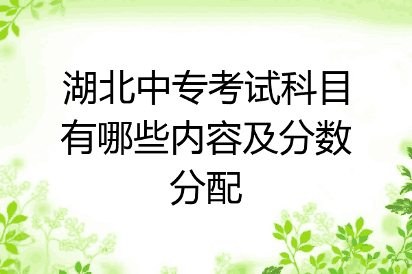 湖北中专考试科目有哪些内容及分数分配