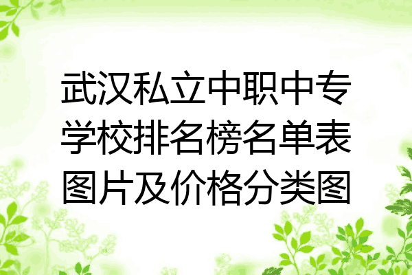 武汉私立中职中专学校排名榜名单表图片及价格分类图