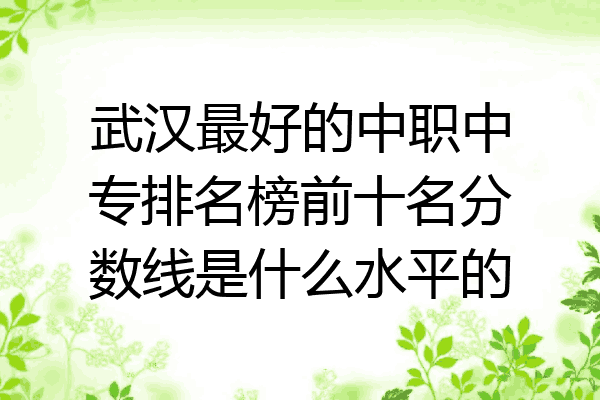 武汉最好的中职中专排名榜前十名分数线是什么水平的