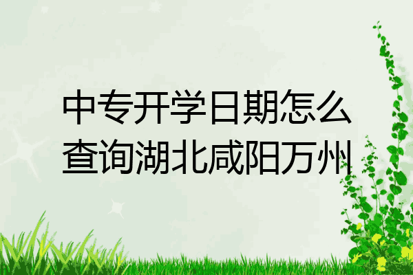 中专开学日期怎么查询湖北咸阳万州