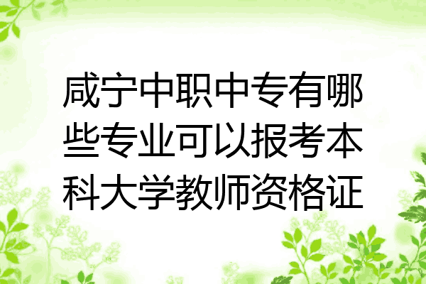 咸宁中职中专有哪些专业可以报考本科大学教师资格证
