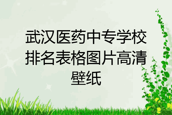 武汉医药中专学校排名表格图片高清壁纸