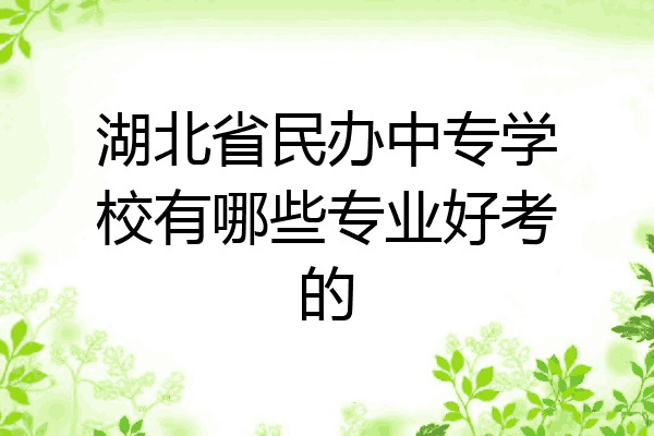 湖北省民办中专学校有哪些专业好考的