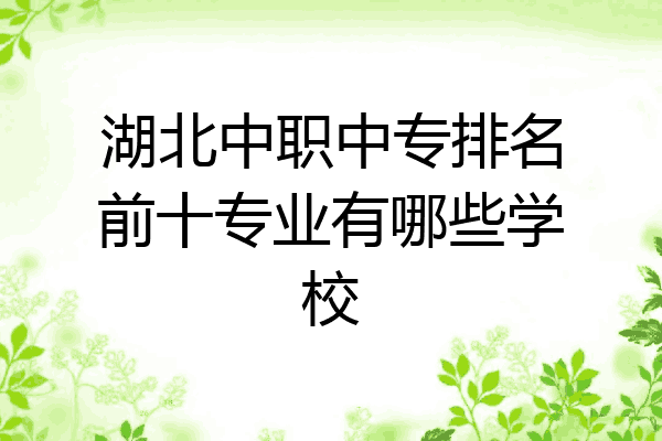 湖北中职中专排名前十专业有哪些学校