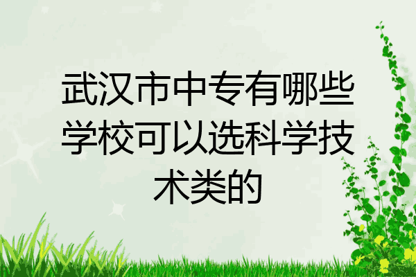 武汉市中专有哪些学校可以选科学技术类的