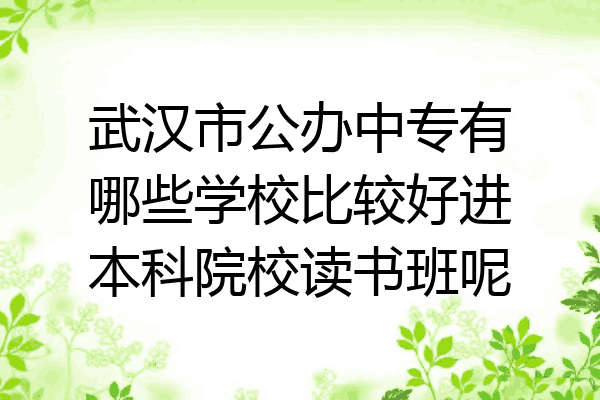 武汉市公办中专有哪些学校比较好进本科院校读书班呢