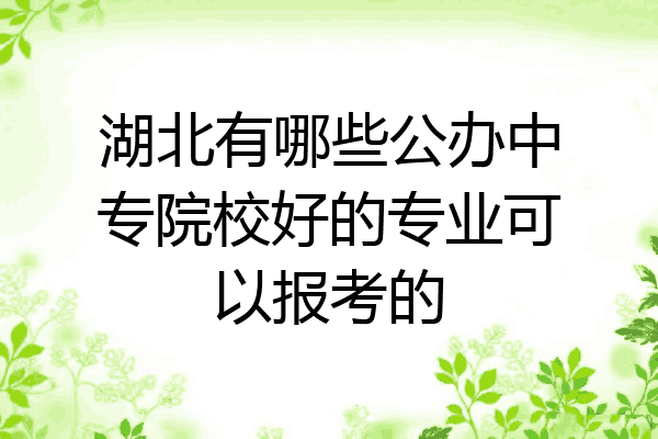湖北有哪些公办中专院校好的专业可以报考的