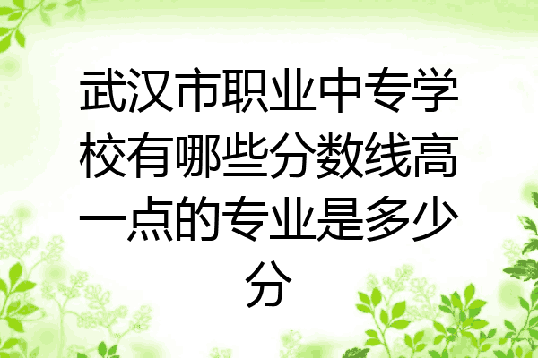 武汉市职业中专学校有哪些分数线高一点的专业是多少分