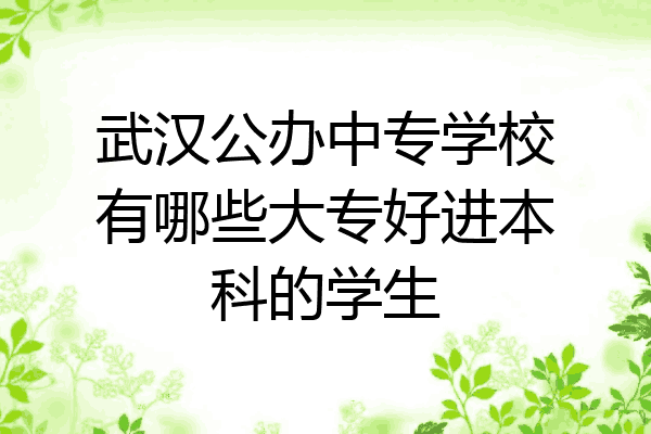 武汉公办中专学校有哪些大专好进本科的学生