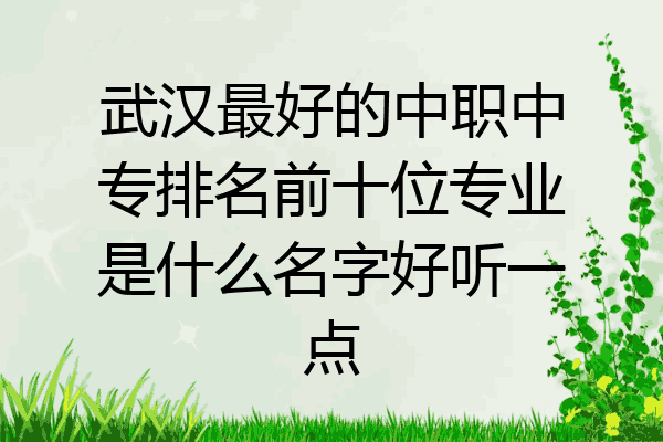 武汉最好的中职中专排名前十位专业是什么名字好听一点