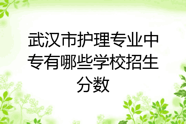 武汉市护理专业中专有哪些学校招生分数