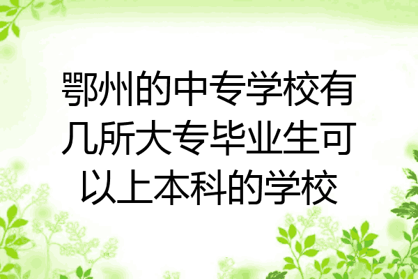 鄂州的中专学校有几所大专毕业生可以上本科的学校