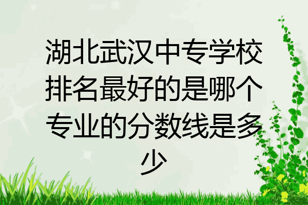 湖北武汉中专学校排名最好的是哪个专业的分数线是多少