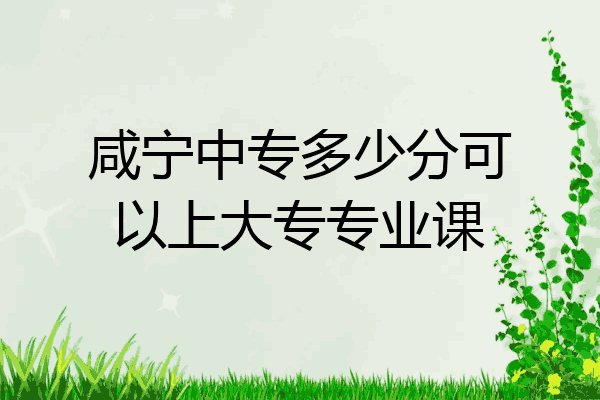 咸宁中专多少分可以上大专专业课