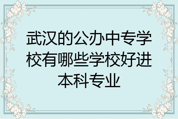 武汉的公办中专学校有哪些学校好进本科专业