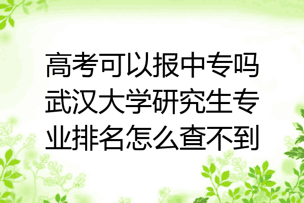 高考可以报中专吗武汉大学研究生专业排名怎么查不到