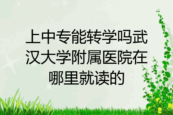 上中专能转学吗武汉大学附属医院在哪里就读的