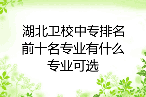 湖北卫校中专排名前十名专业有什么专业可选